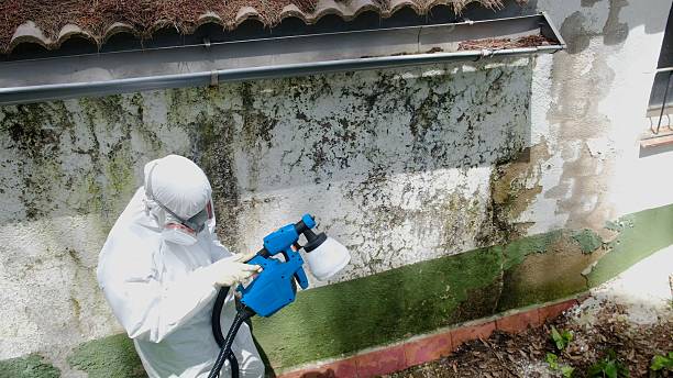 Trusted Commercial Mold Remediation service in Fredericksburg, PA - Cheap Mold Removal